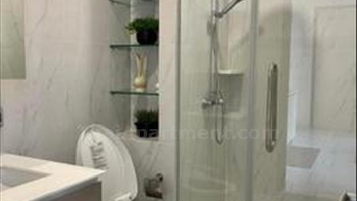  image5