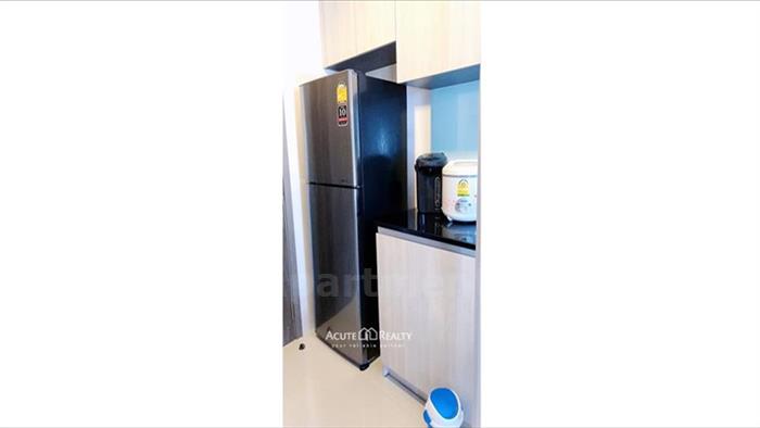  image4