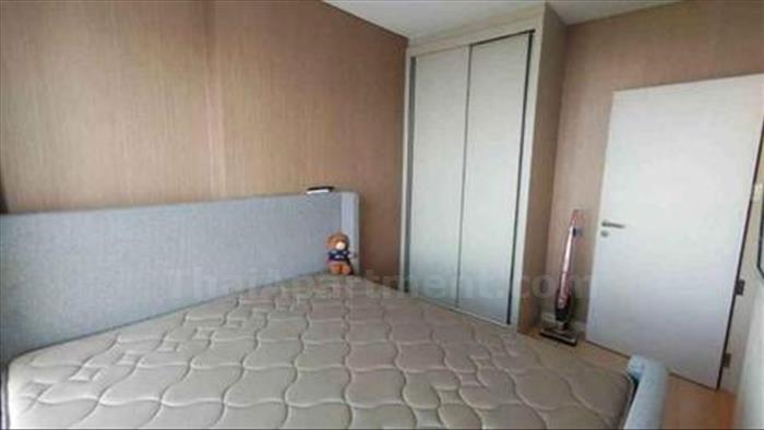  image3