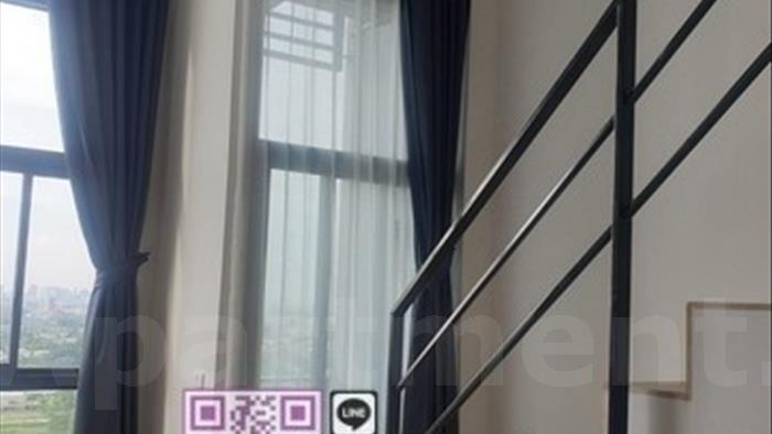  image4
