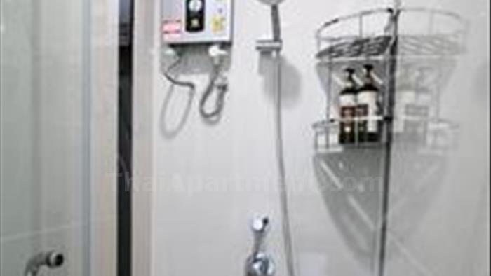  image4