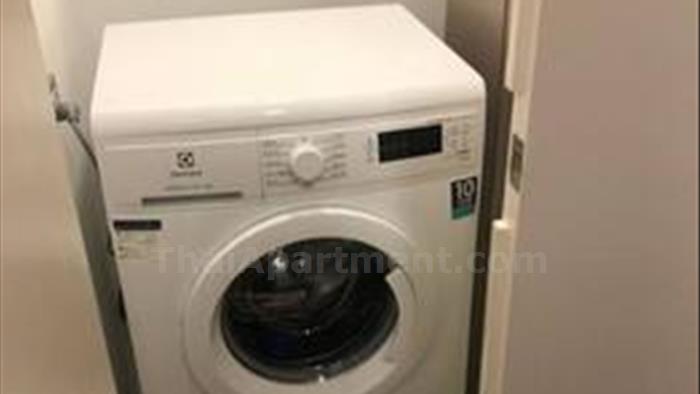  image3
