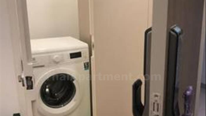  image4