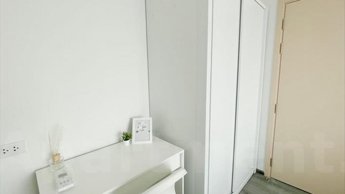  image4