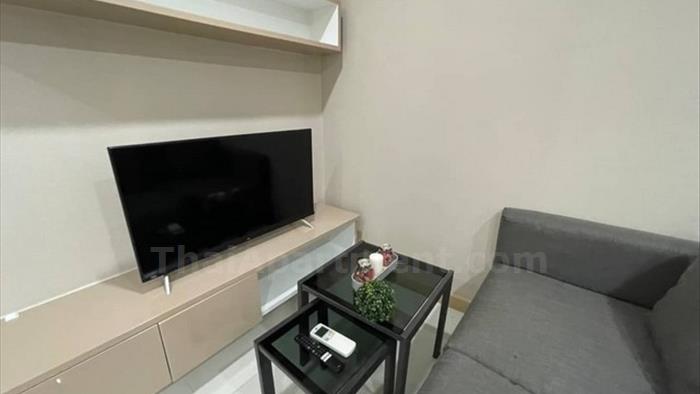 image3