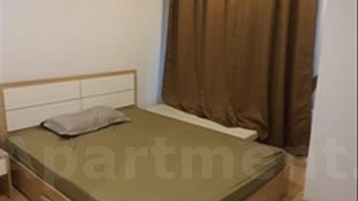  image5