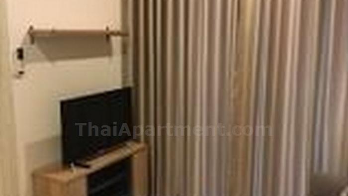  image3