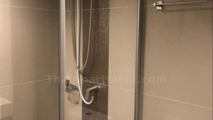  image3