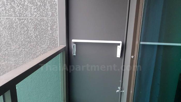  image5