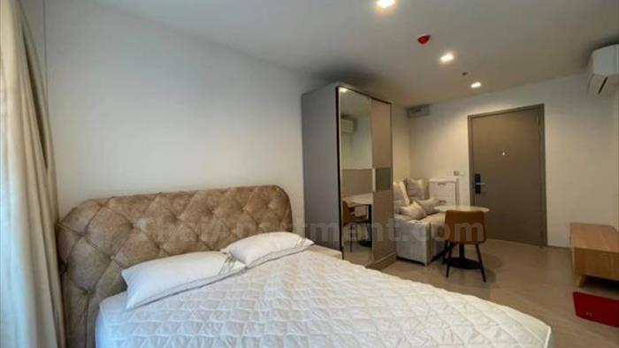 คอนโด-ให้เช่า-ไลฟ์-อโศก-ไฮป์