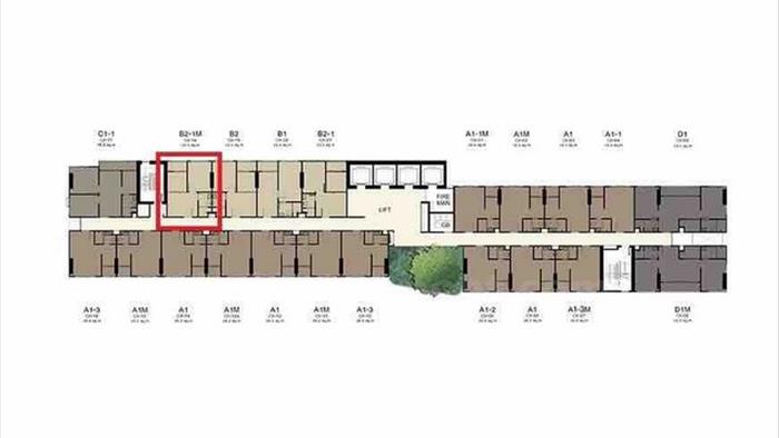  image3