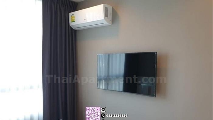  image4