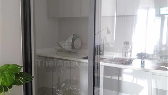  image4