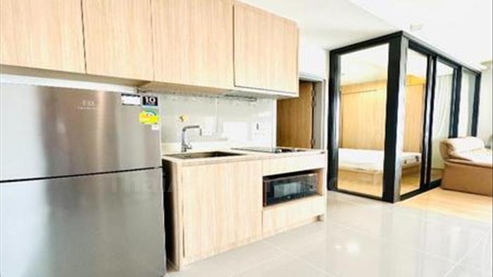  image4