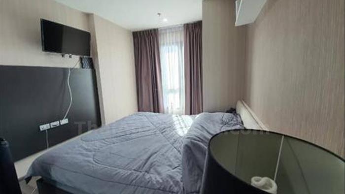  image3
