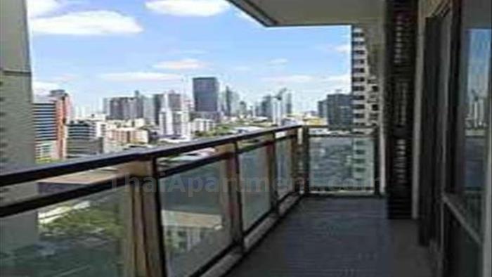  image4