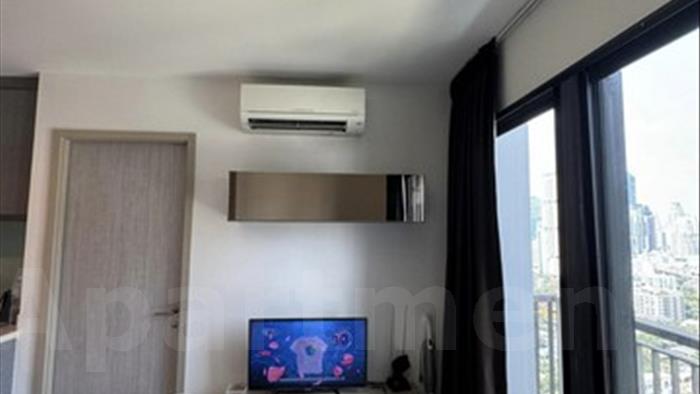  image4