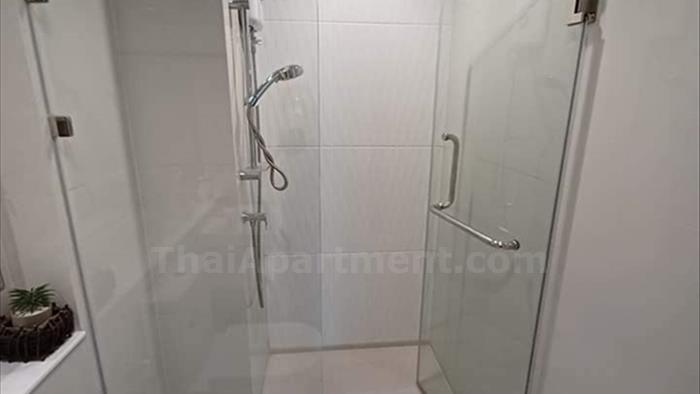  image3