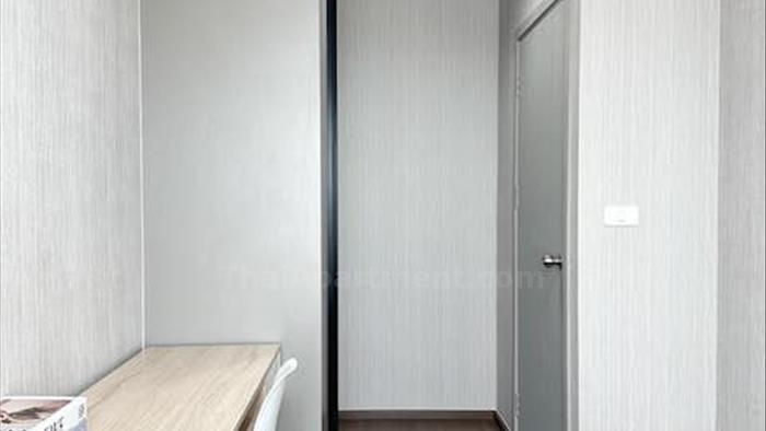  image4