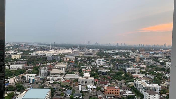  image4