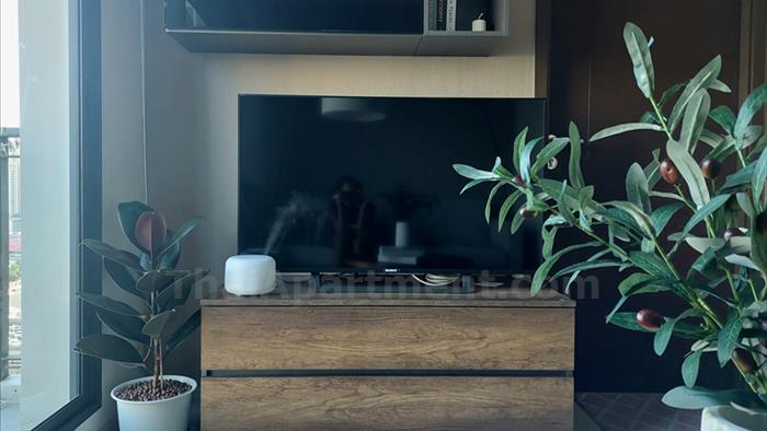  image3
