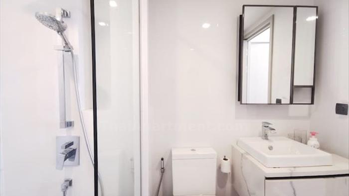 image3