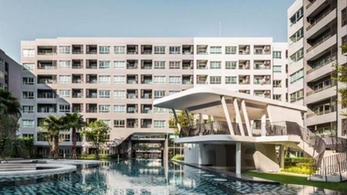  image4