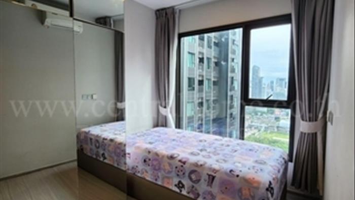  image4