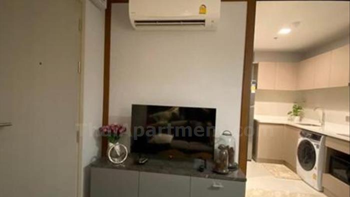  image4
