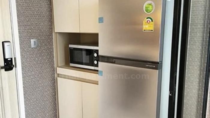  image3