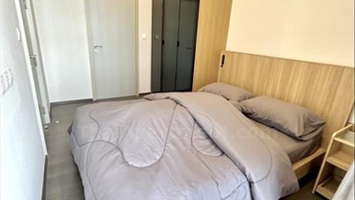  image4