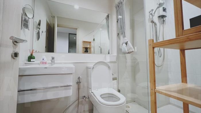  image4