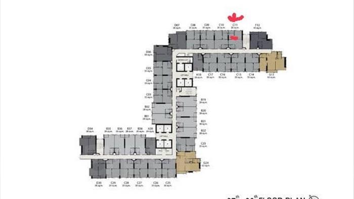  image4
