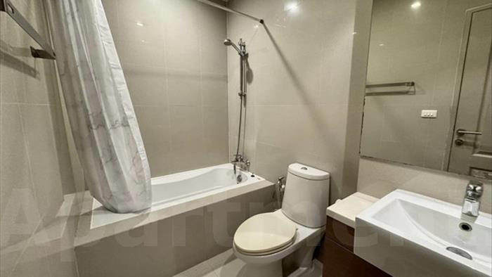  image3