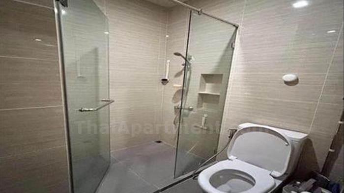  image3