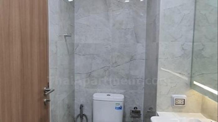  image4