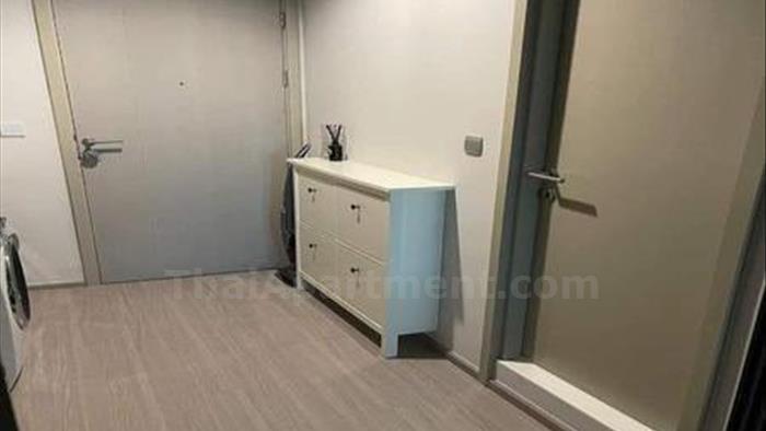  image5