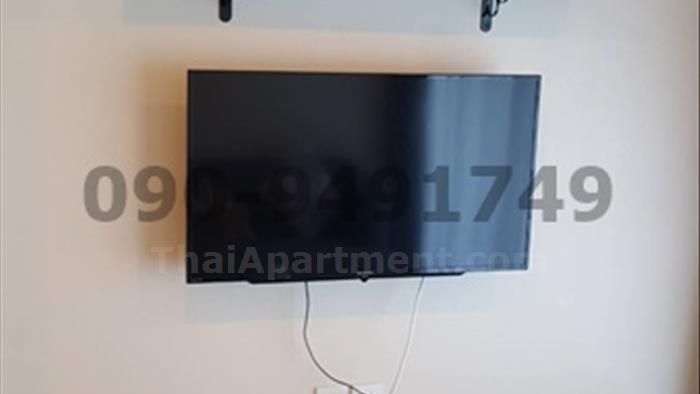  image3