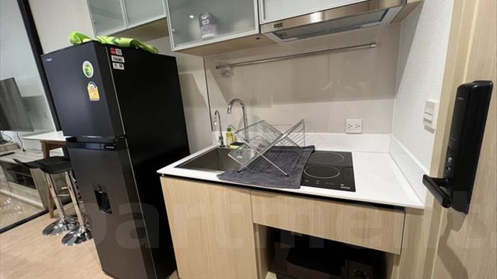  image4