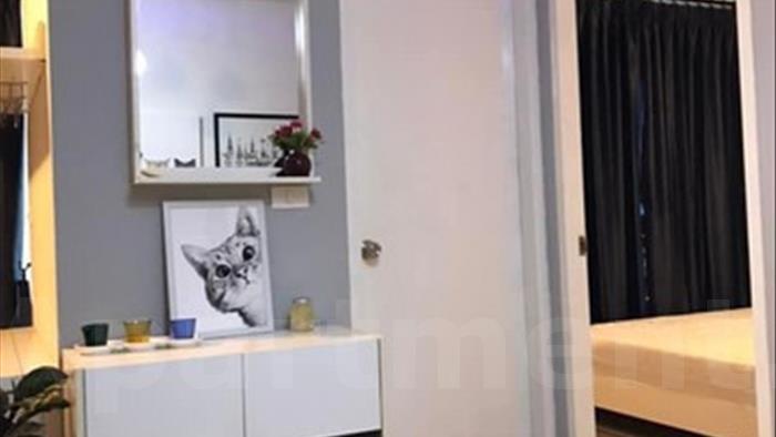 condominium-for-rent-the-parkland-srinakarin