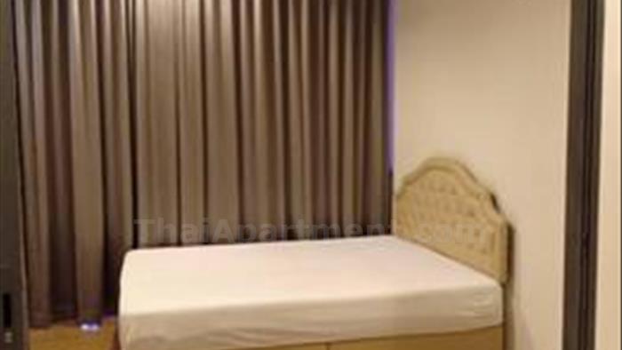 condominium-for-rent-hasu-haus