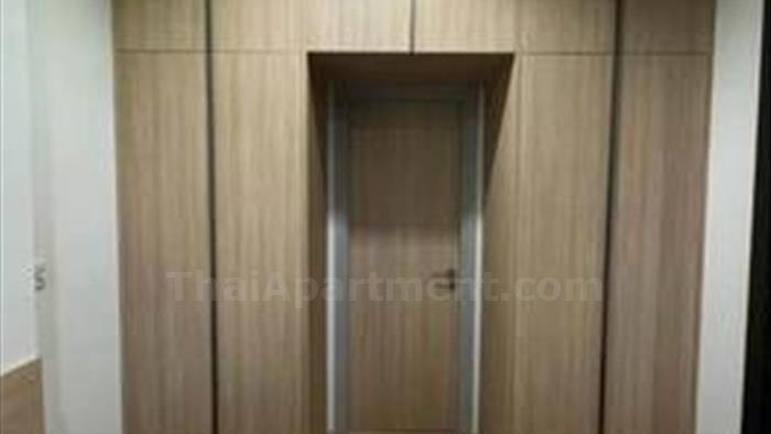  image4