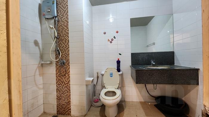 image5