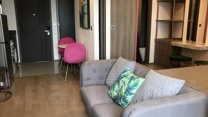  image4