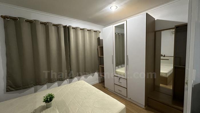  image3