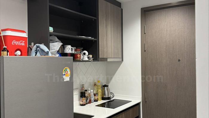  image3