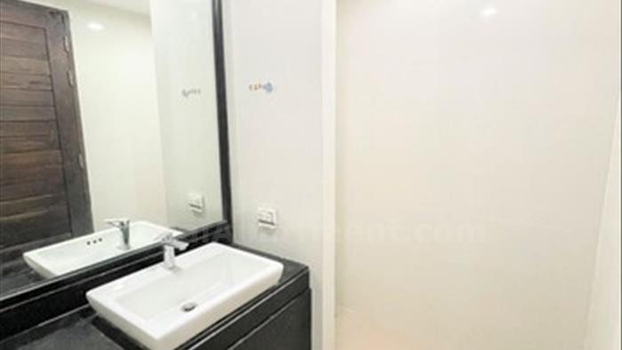  image3