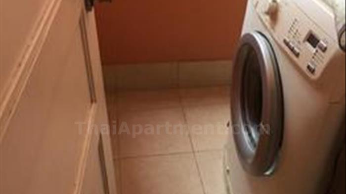  image5