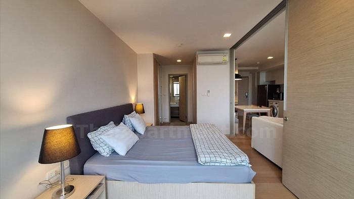 condominium-for-rent-liv-49