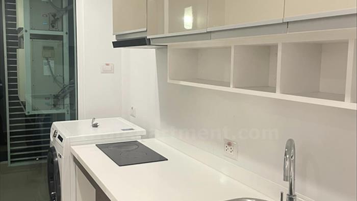  image3